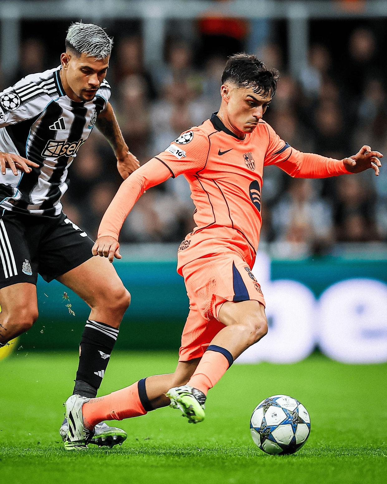 金年会官网登录-im1555pnst说明书